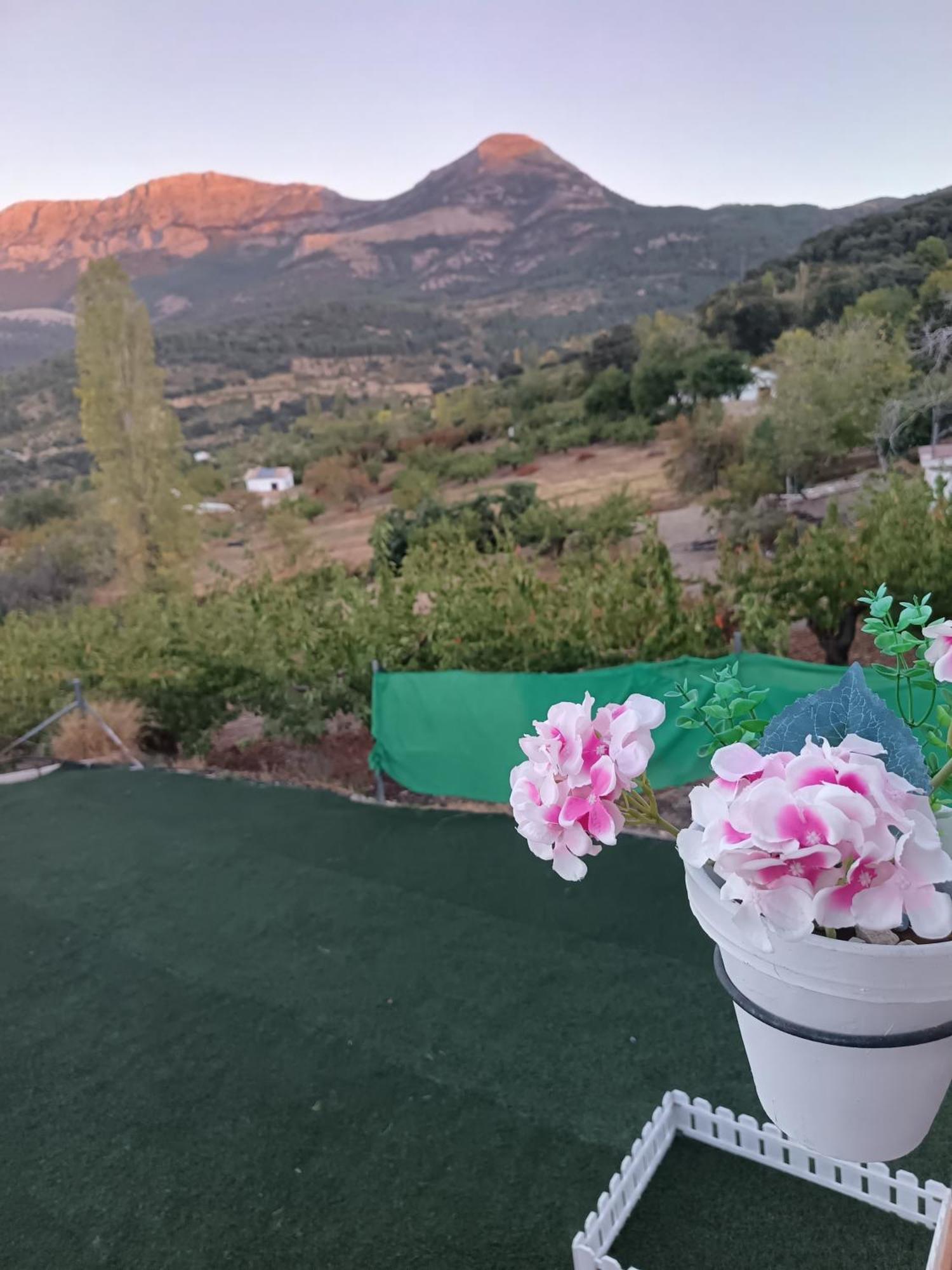 Los Cabales Torres  エクステリア 写真