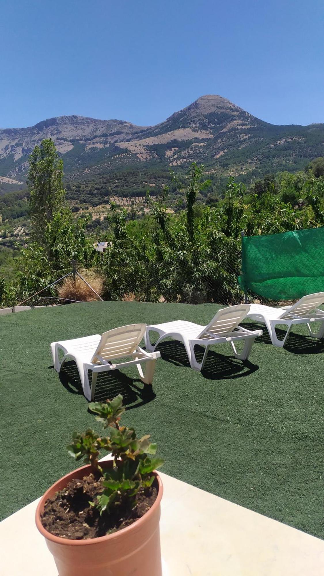 Los Cabales Torres  エクステリア 写真