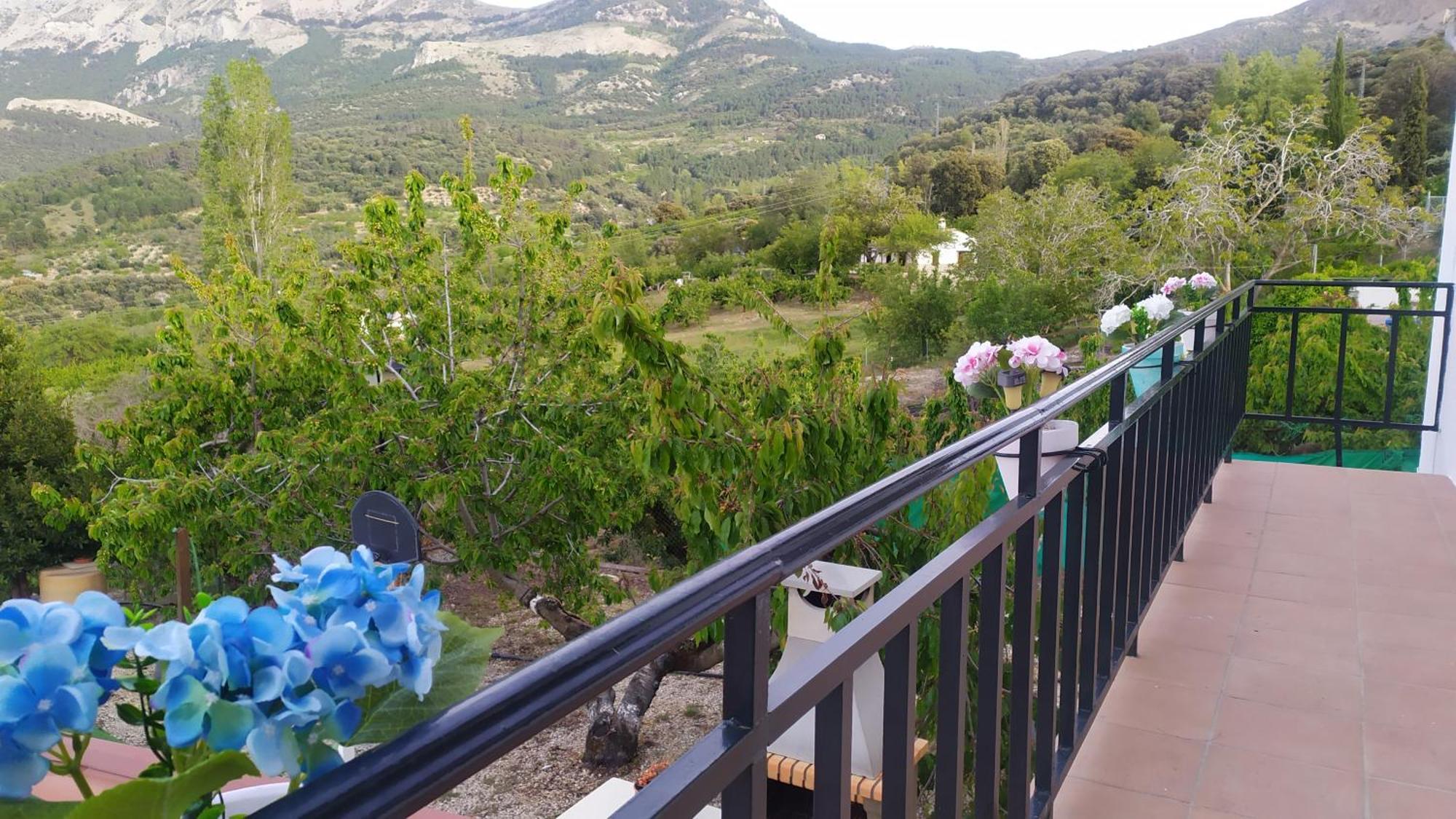 Los Cabales Torres  エクステリア 写真